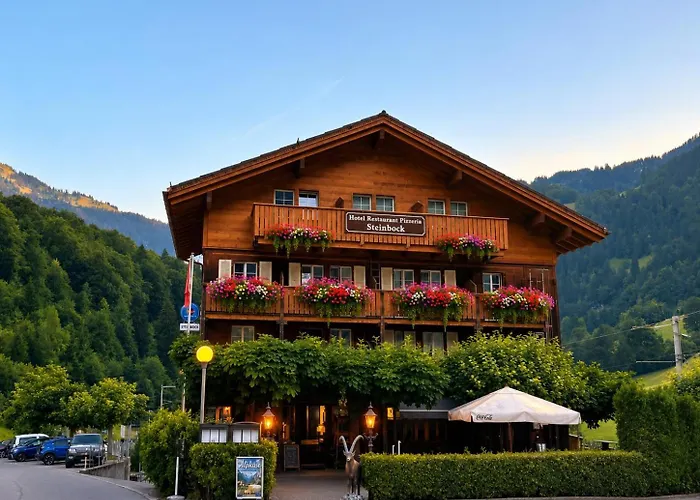 Hotel Steinbock